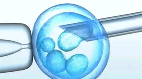 福建代孕公司怎样|福建供卵试管婴儿促排卵过程相关问题